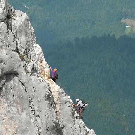 Das Grasberghaus Экстерьер фото