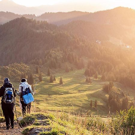 Das Grasberghaus Экстерьер фото