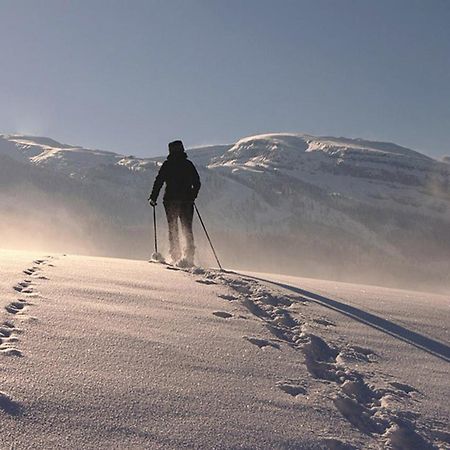 Das Grasberghaus Экстерьер фото