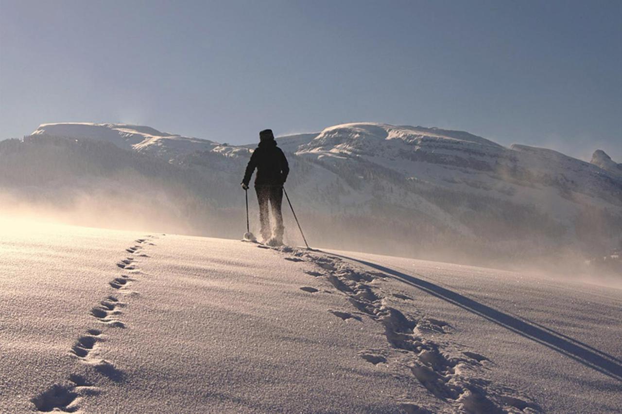 Das Grasberghaus Экстерьер фото